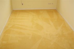 gelber Velours Teppichboden festverlegt nach Teppichreinigung sauber