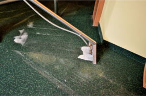 Sprühextraktion von Teppichboden mit speziellen Mittel zur Beseitigung von Urin