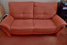 rotes 2-Sitzer Sofa Mikrofaser nach Polsterreinigung