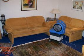 Rolf Benz Couch mit Mikrofaser wird getrocknet