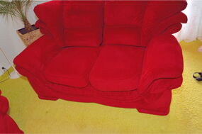 Rotes Volumensofa Miktofaser nach professioneller  Polsterreinigung sauber