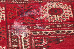 Teppich mit Mottenbefall