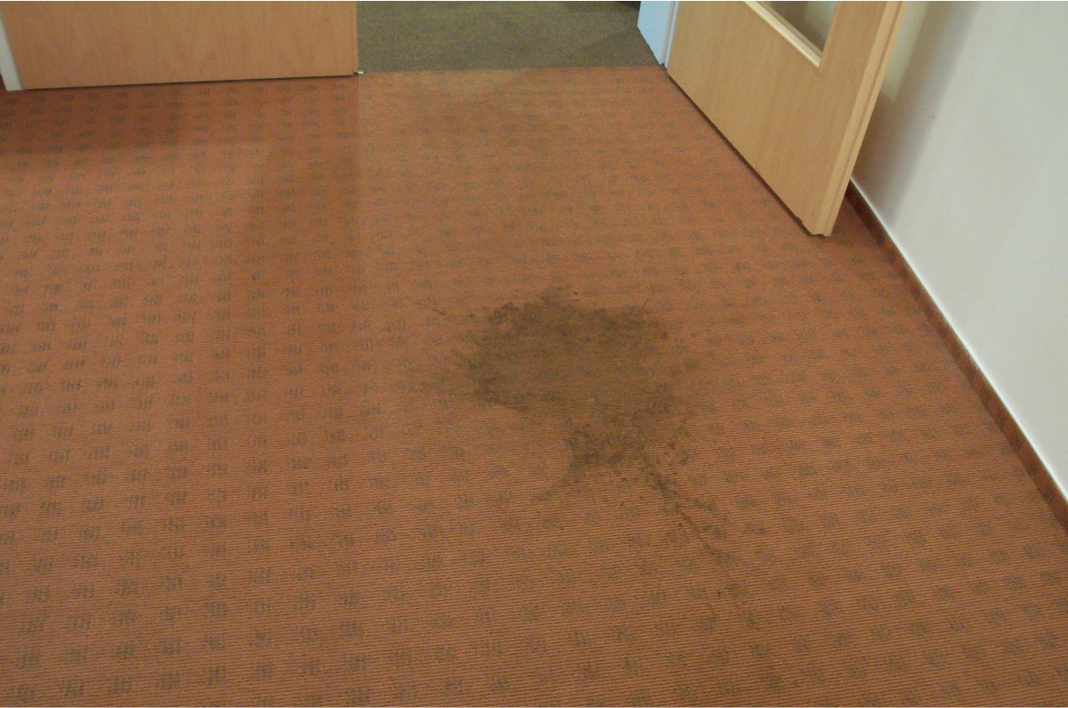 Teppichboden im Büro mit Kaffeefleck